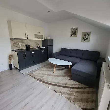 Cicak Apartman *