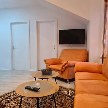 Cicak Livno